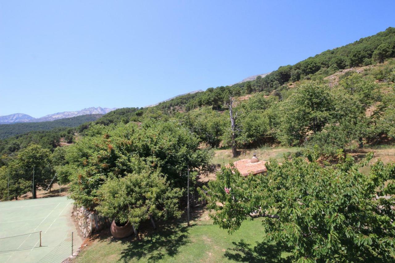 El Pinarejo Villa El Arenal  Bagian luar foto